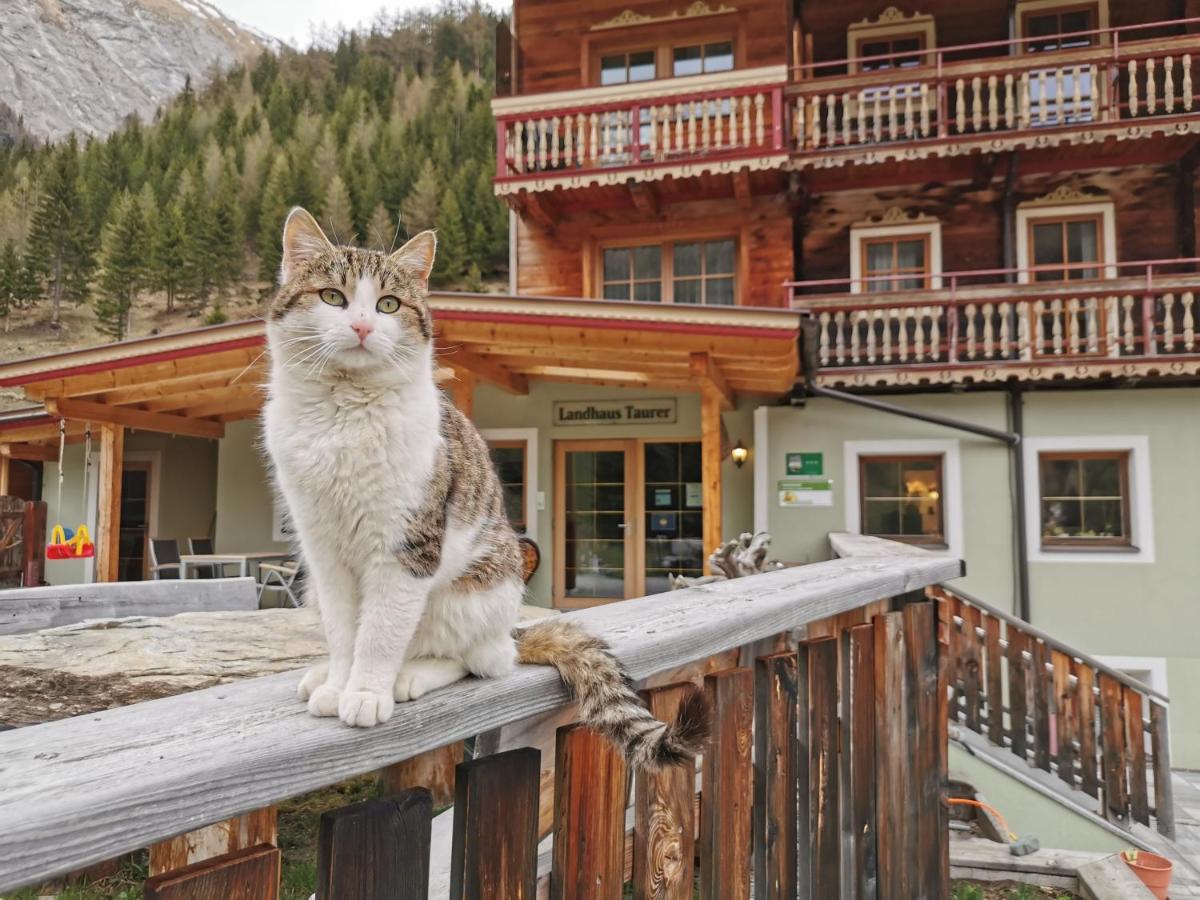 Landhaus Taurer Кальс-ам-Гросглокнер Екстер'єр фото